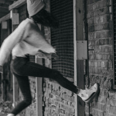 vivesucanfly