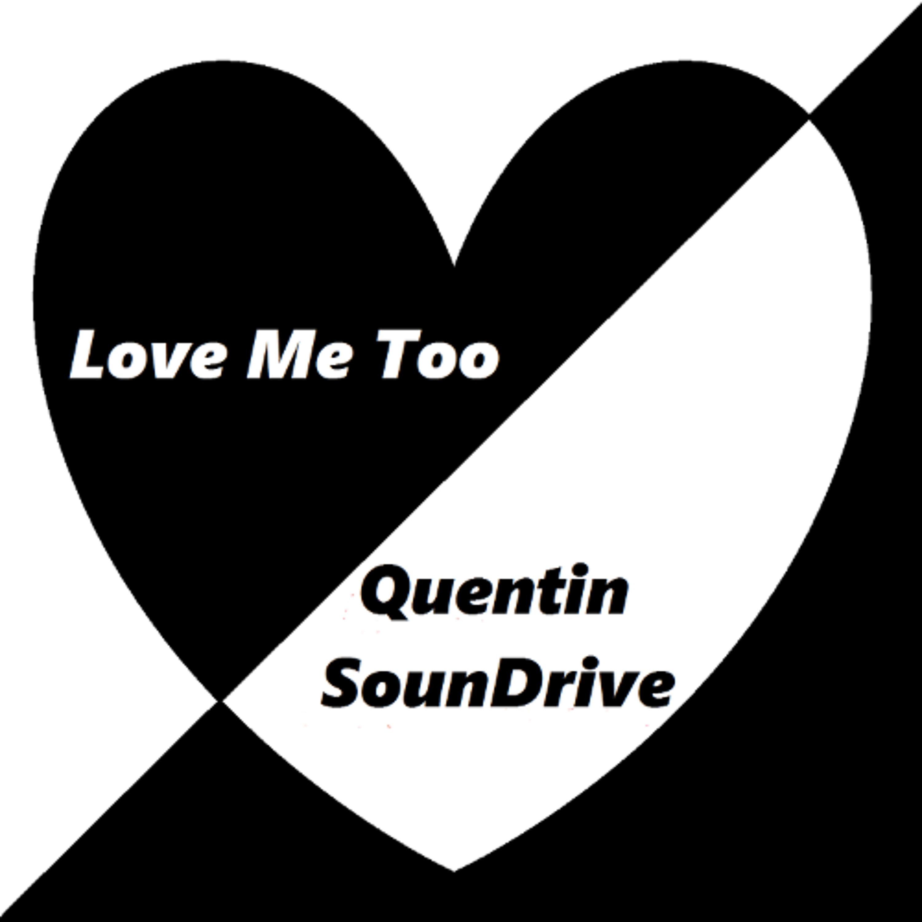 Track cover