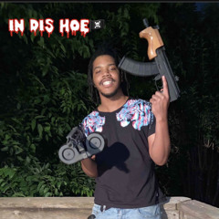 InDisBih(remix)