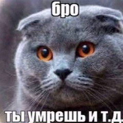 shalava + загадочный киллер