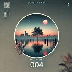 Soul In Sync 004