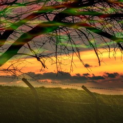 Fenced 21 - 12 - 2020