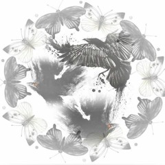 Butterflies and crows