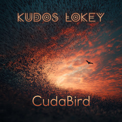 Kudos LoKey - CudaBird