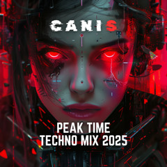 PEAK TIME DRIVING TECHNO MIX 2025 | DARK VIBES | MONOCOC | LAMPE | BREECH | ARTUR ACHIZER | AIO | BRUNO | LEWIS | CANIS MIXTAPE
