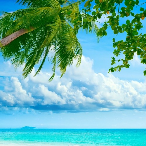 SummerSong R3troponix