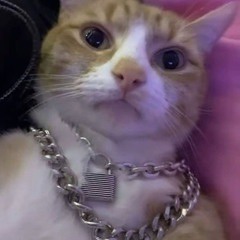 (dj slurrr) 🧖🏿🧖🏿🧖🏿