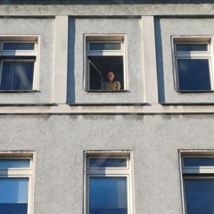 SOIL - Live set - volcano-amphibian-fuel