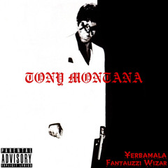 TONY MONTANA feat. Fantauzzi Wizar