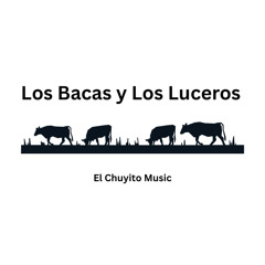 Nunca Te Rindas, Baca