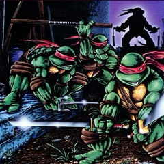 SCHILDKRÖTENPANZER