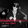 Terminal V Podcast 079 || LB aka LABAT DJ mix artwork - Electronic music tracklist cover image