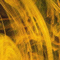 25 Dec - Avalanche Warning