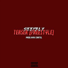 Teaser Freestyle (Prod.Wav Cartel)