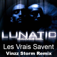Lunatic - Les Vrais Savent - 1997 // 2025 - Vinzz Storm Remix