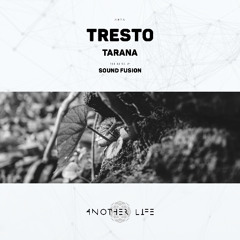 TRESTO - Tarana (Sound Fusion Remix) [Another Life Music]