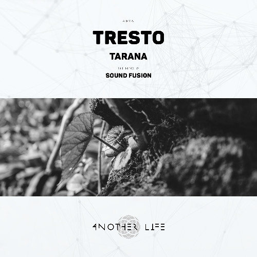 TRESTO - Tarana (Sound Fusion Remix) [Another Life Music]