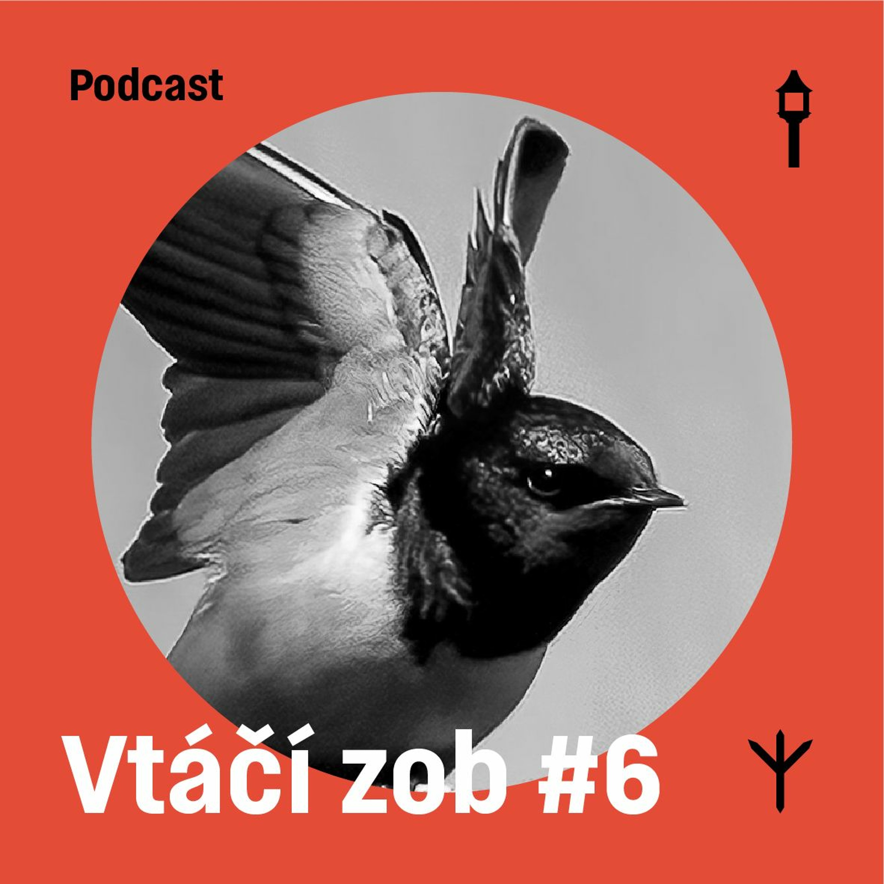 Vtáčí zob #6 — Lastovička obyčajná (Samuel Sabol, Jakub Lenart) episode artwork