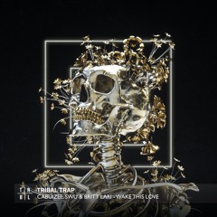 Cabuizee, Swu, Britt Lari - Wake This Love