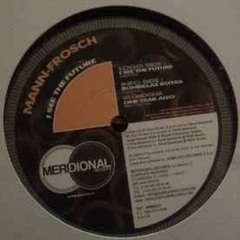 Mann Frosch - I See The Future (Original Mix)