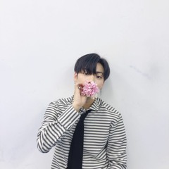 Sunflower - 이션