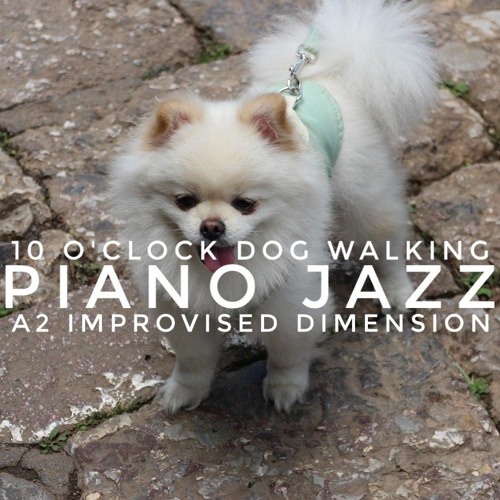 10 o'clock dog walking