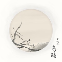 乌鸦 (Crow) - 文俊辉 (SEVENTEEN's JUN)