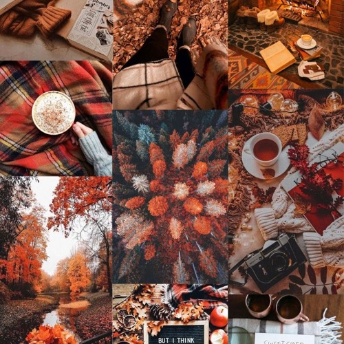 Autumn playlist ✨ 🍂