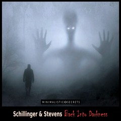 Schillinger & Stevens - Back Into Darkness (Original)