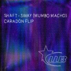 Shaft sway