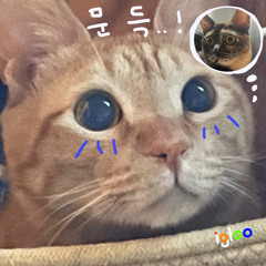 문득 (Suddnly) (DEMO)