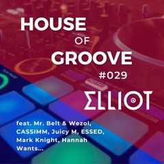 House & Tech House Mix | Elliot - House Of Groove #029 (Mr. Belt & Wezol, ESSED, Mark Knight...)