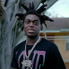 Kodak Black - Killing The Rats