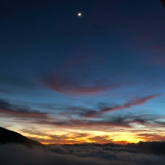 VINXEN - WILL(바래) LIVE