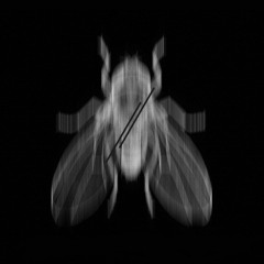 PEAK TIME - Techno SET