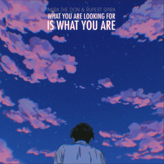 WHAT YOU ARE LOOKING FOR IS WHAT YOU ARE