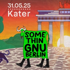 Somethingnu in Berlin at Kater Blau 310525