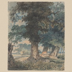 animals in debt ft. fly amanita