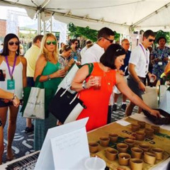 Best Undiscovered Charleston Half Day Food Wine History Tour With Cooking Class Tours Review