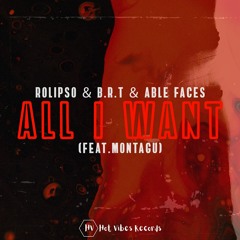 Rolipso & BRT & Able Faces - All I Want (feat. Montagu)
