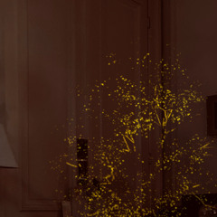 Ballroom scissors, in the dancer's hands. (de Nièze version of Senglar Inn Or)