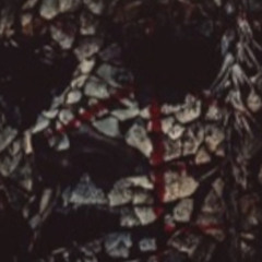 GunTalk Freestyle (Ft. EOS Barim)