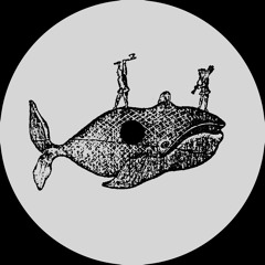 Whale Song