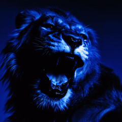 Myth (flareupski,heyyt1mi)