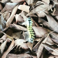 27.02.2022 - Cap. X - Bem Aventurados os Misericordiosos - Reconciliar-se com os Adversários (6)