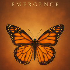Emergence