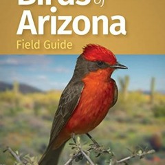 GET KINDLE PDF EBOOK EPUB Birds of Arizona Field Guide (Bird Identification Guides) b