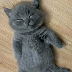 pt2! OLD&NEW SOUND | EN/mainRU | type - mixtape of some shit