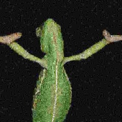 Hands Up