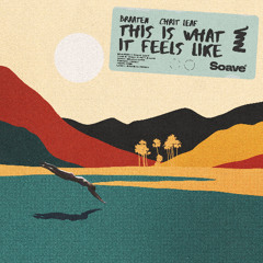 Braaten & Chrit Leaf - This Is What It Feels Like